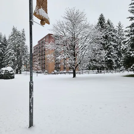 Traumblick Altenau (Lower-Saxony)